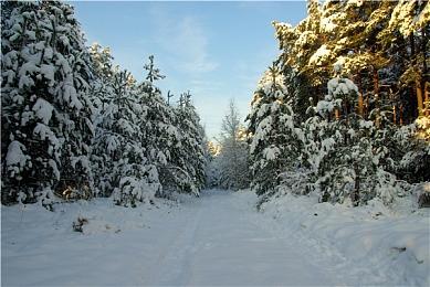 《最后的生还者》PC版爆笑Bug集锦 乔尔原地升天